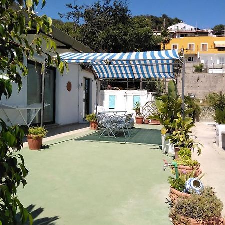 Raffaela Village Via Scannella N32 Forio di Ischia Eksteriør billede