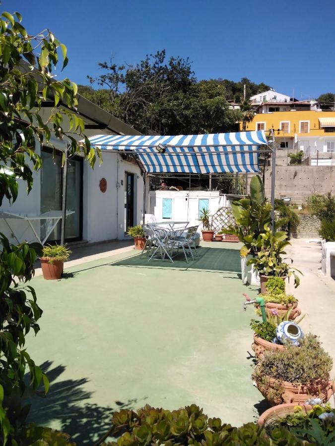 Raffaela Village Via Scannella N32 Forio di Ischia Eksteriør billede